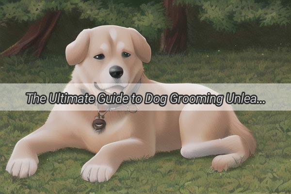 The Ultimate Guide to Dog Grooming Unleashing the Beauty in Every Paws